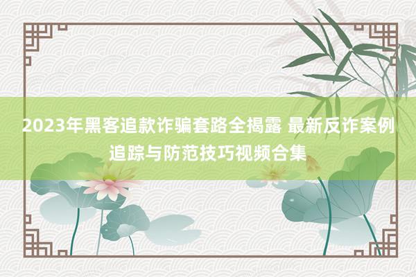 2023年黑客追款诈骗套路全揭露 最新反诈案例追踪与防范技巧视频合集
